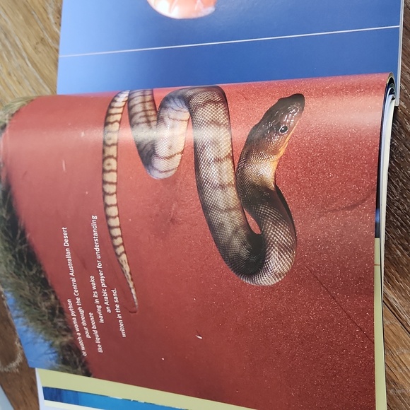 Priceless Vanishing Beauty of a Fragile Planet Book - Picture 11 of 16